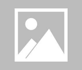 爱游戏-Scout连续二十场比赛得分超过突破纪录，塞尔维亚队挑战极限！的简单介绍