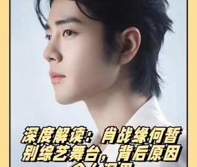 爱游戏体育-TheShy重返赛场，出色发挥首场状态出色，瑞士队观众沸腾！