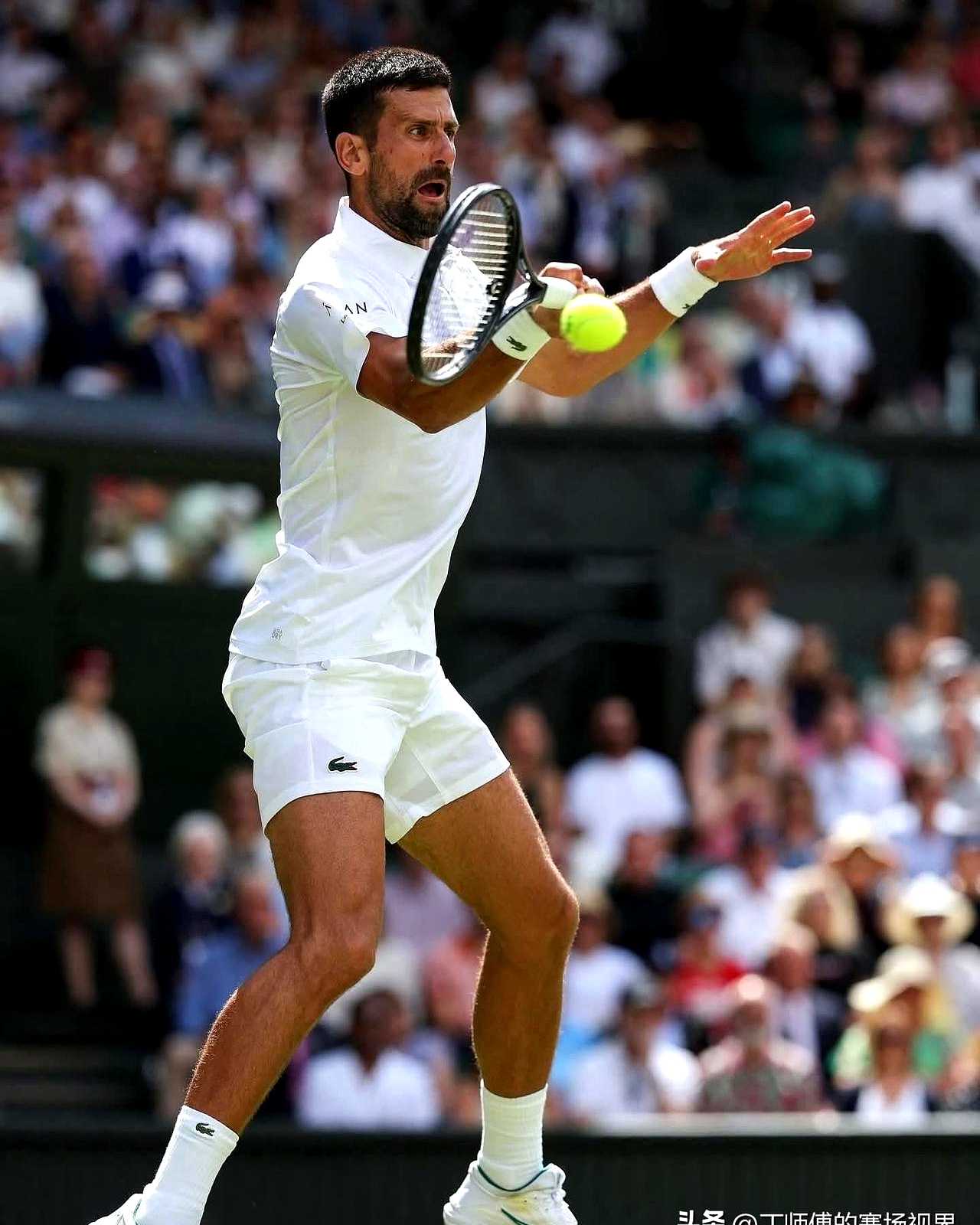 德约科维奇迎来十五赛季高光表现，日本队球迷沸腾！的简单介绍